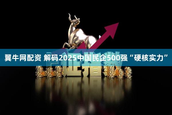 翼牛网配资 解码2025中国民企500强“硬核实力”