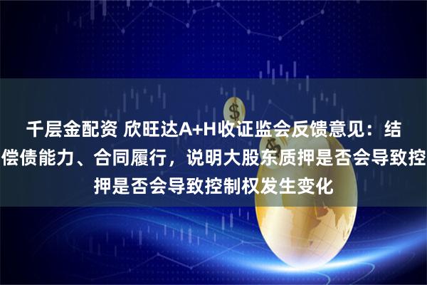 千层金配资 欣旺达A+H收证监会反馈意见：结合质押原因、偿债能力、合同履行，说明大股东质押是否会导致控制权发生变化