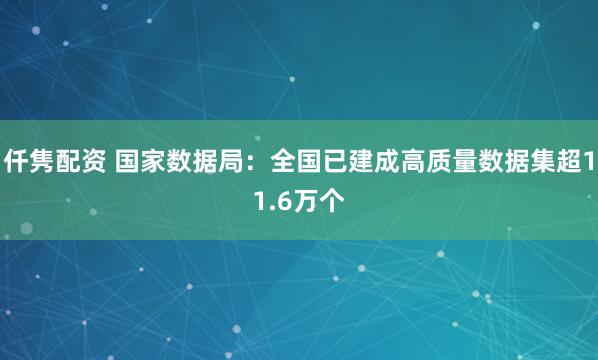 仟隽配资 国家数据局：全国已建成高质量数据集超11.6万个